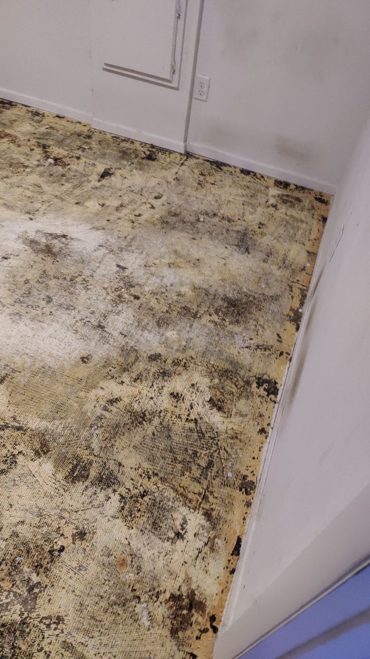 Water Damage by Accountable Home Services