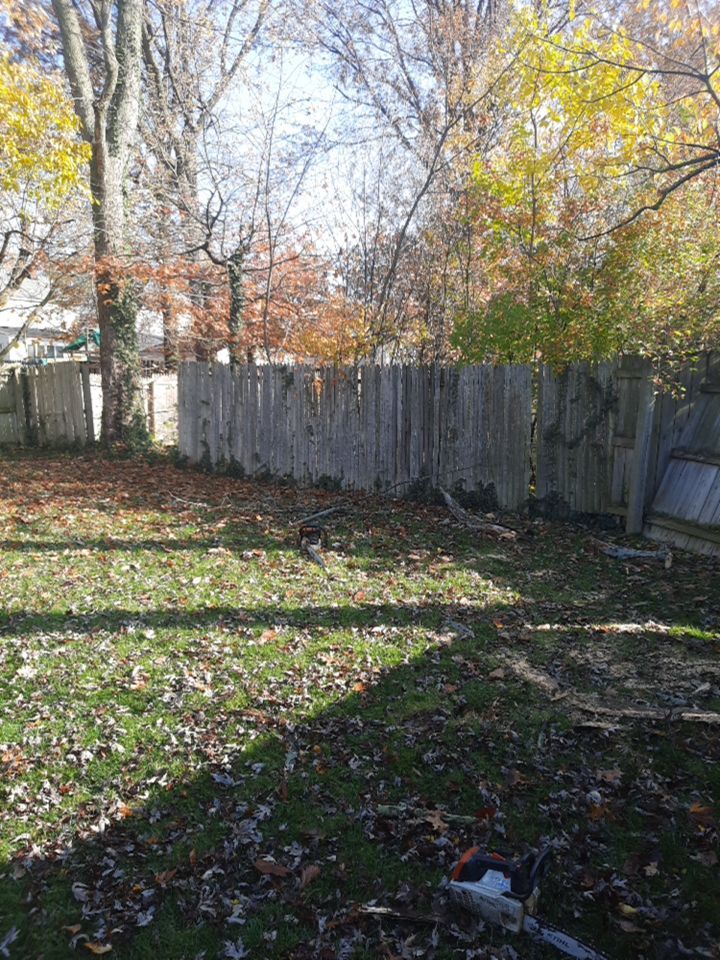 Tree Removal using Tree Removal by Mike Jones & Sons Tree Service LLC 