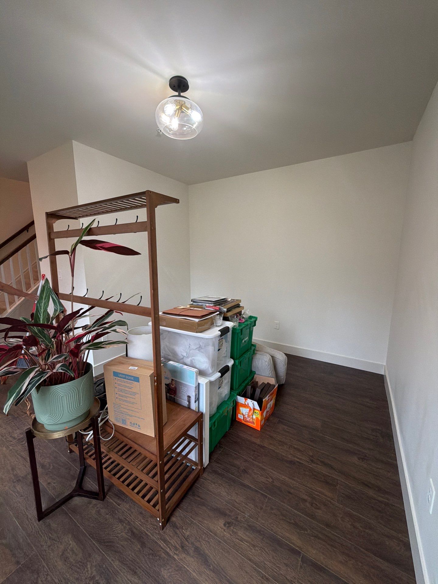 Whole-Home Interior Refresh in Malvern by Groovy Hues