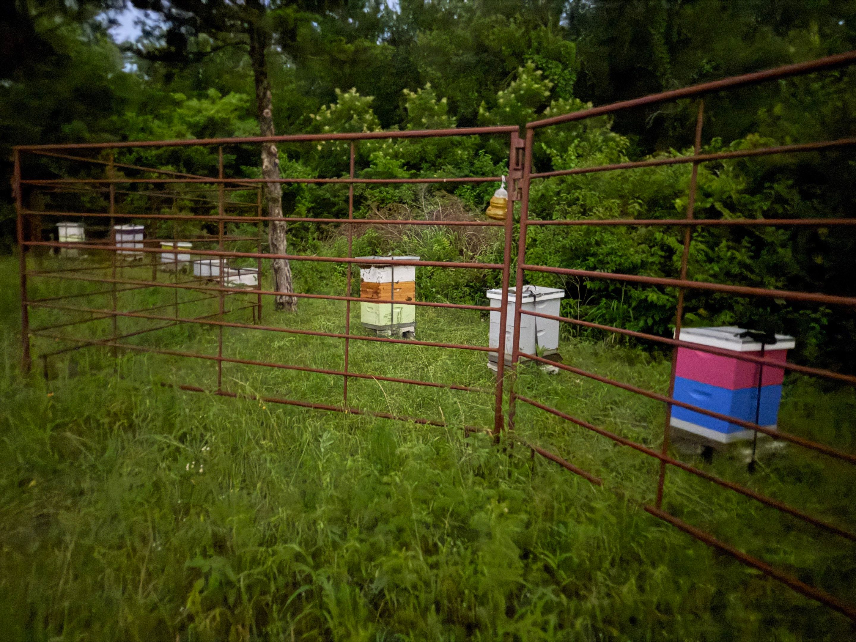 Rockwall County Ag. Exemption by Rockwall Honey Bee Company