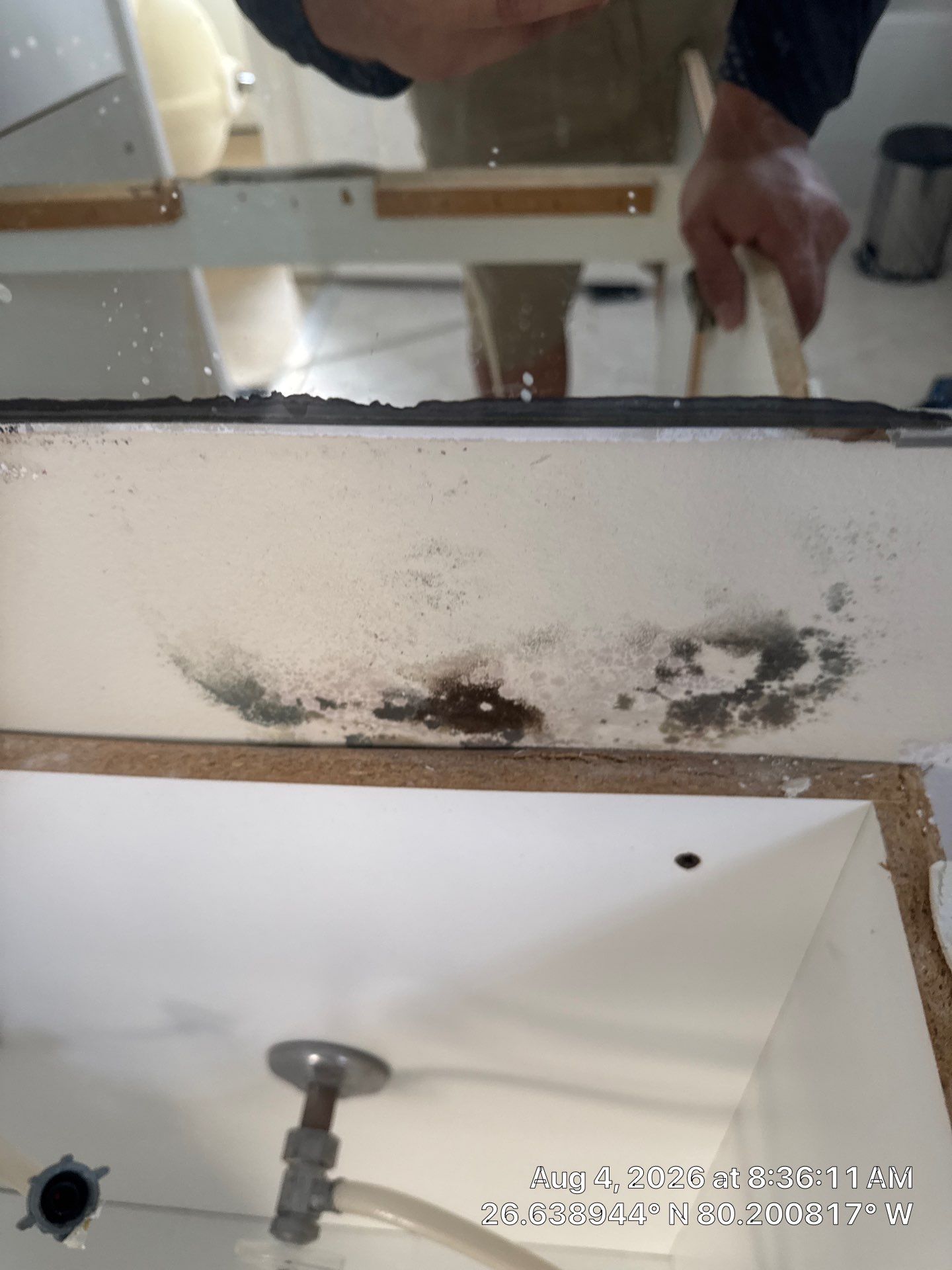 Water Damage Restoration and Mold Remediation in Wellington by SuperClean