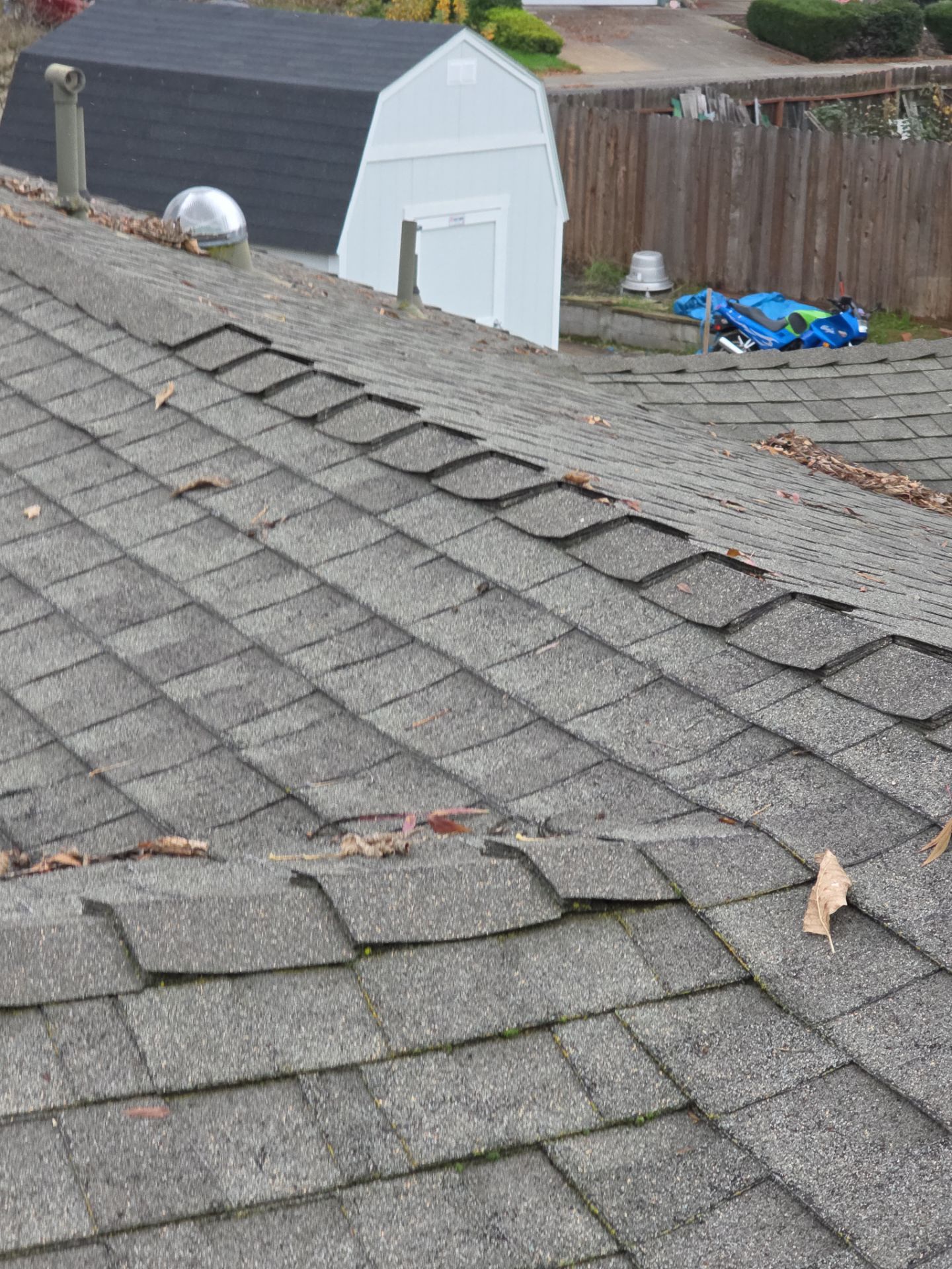 Roof Rejuvenation using Roof Maxx Treatment by Roof Maxx of Folsom