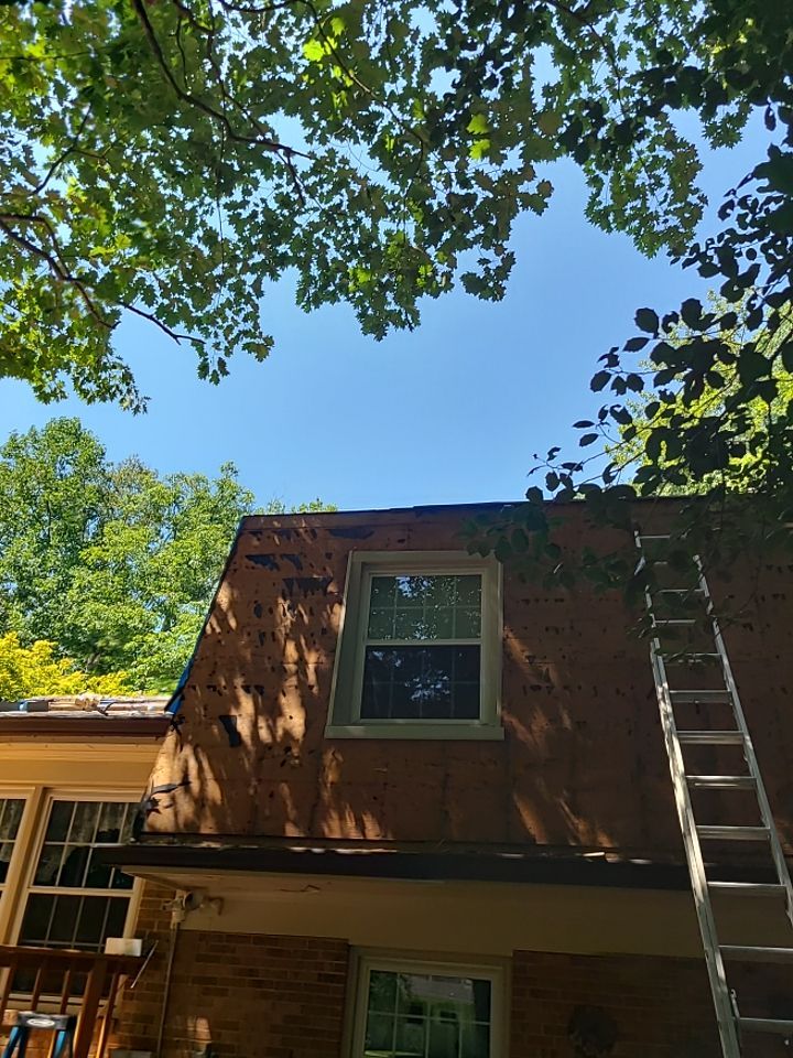 Fairfax Station: CertainTeed Landmark Pro Designer Shingles in Max Def Resawn Shake by RM Banning, Inc.