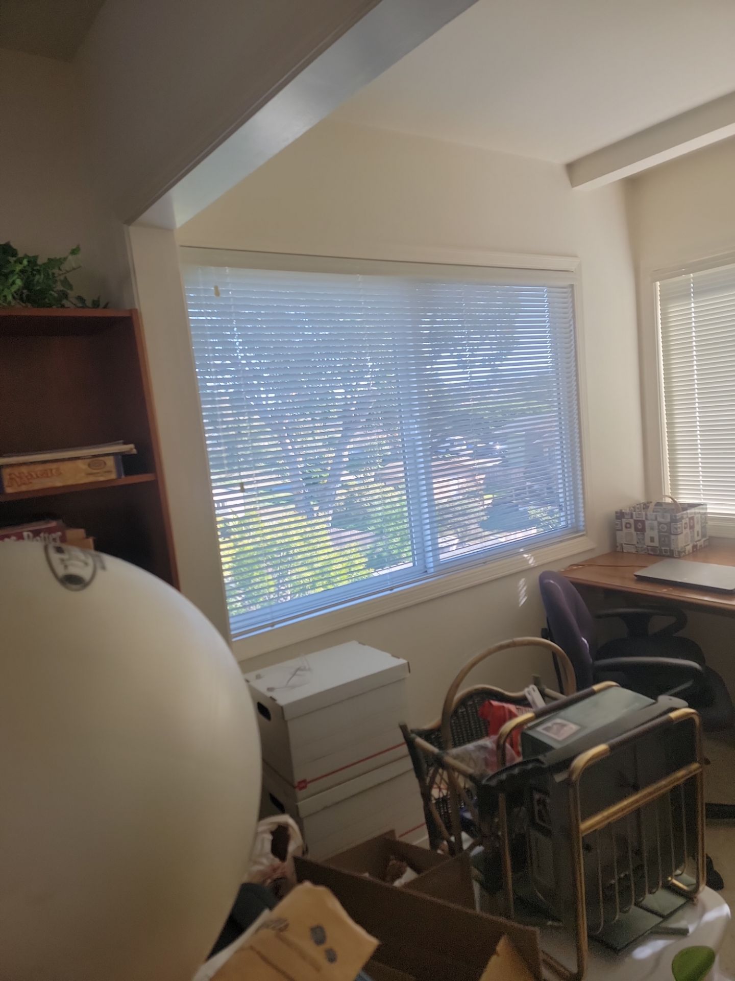 Updated interior rooms by MGP Coatings
