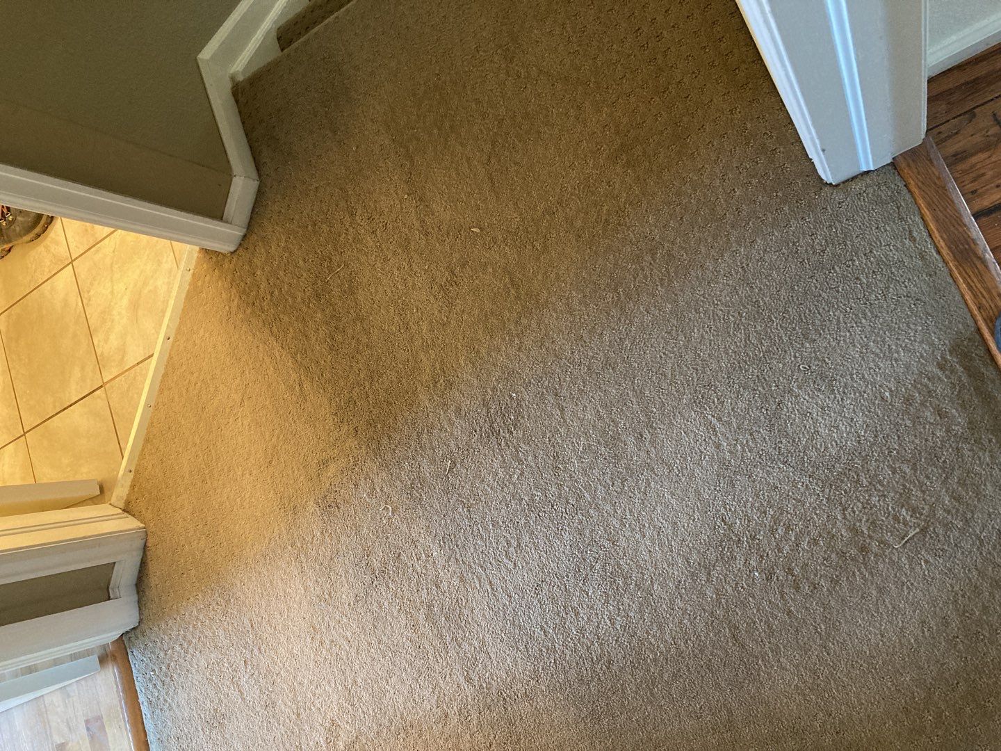 Mold Remediation Cleanup in Attic by Accountable Home Services