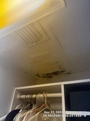 Mold Remediation