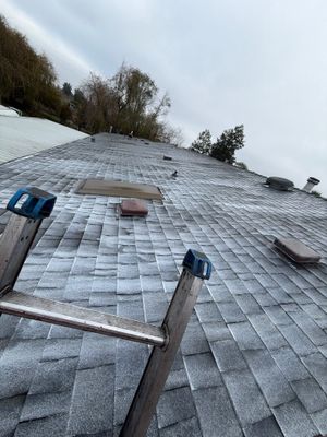 Roof Rejuvenation using Roof Maxx Treatment