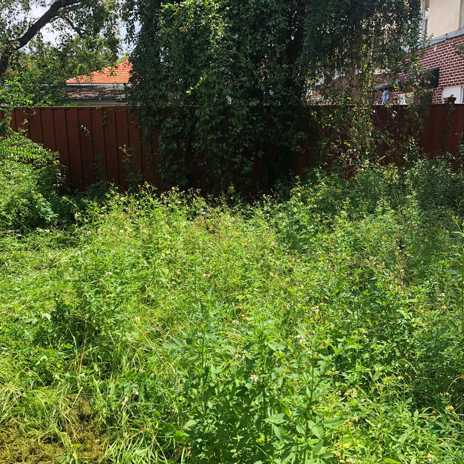 Extreme Clean Up | Riverside Area by ProGreen Services