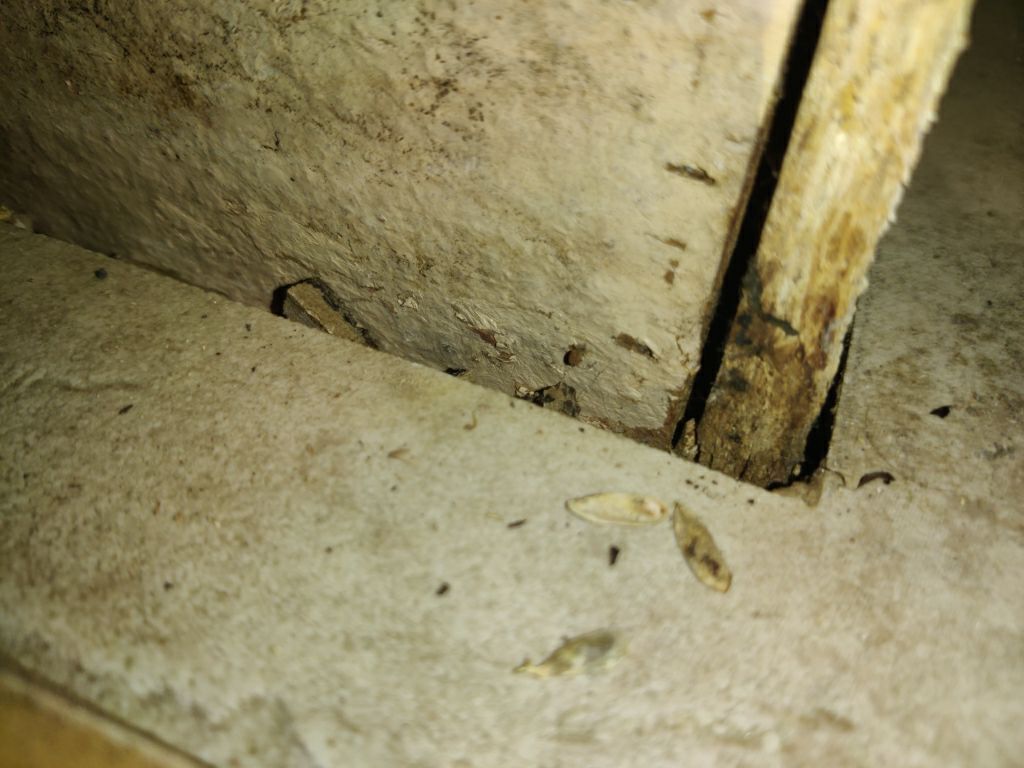 Mold Remediation in Kitchen by Accountable Home Services