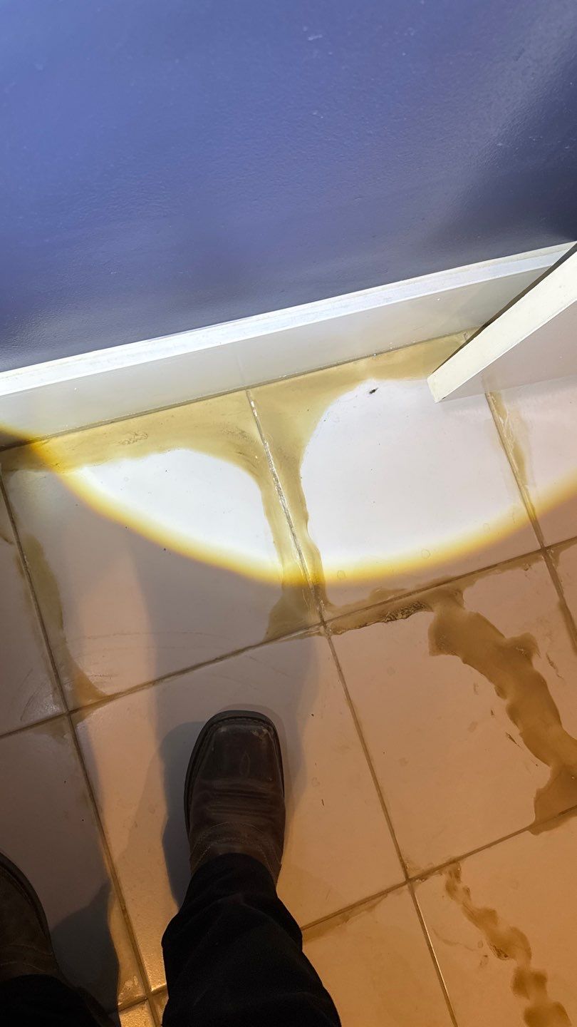 Mold Project in Englewood by Accountable Home Services