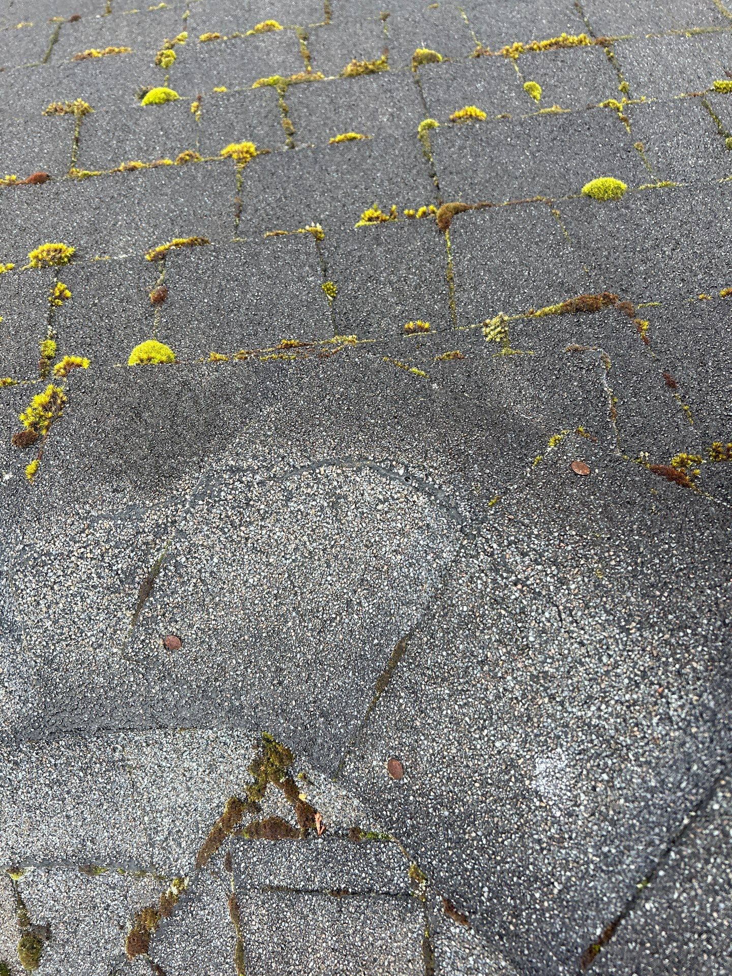 Project in Mill Creek by Connolly Construction Company