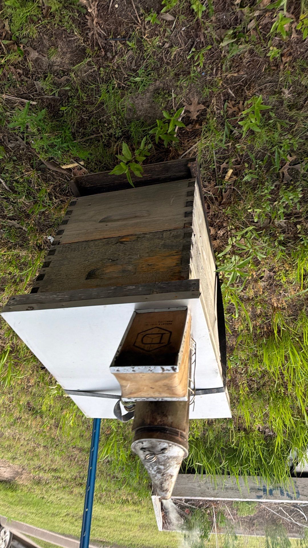 Bees by the Lot by Rockwall Honey Bee Company