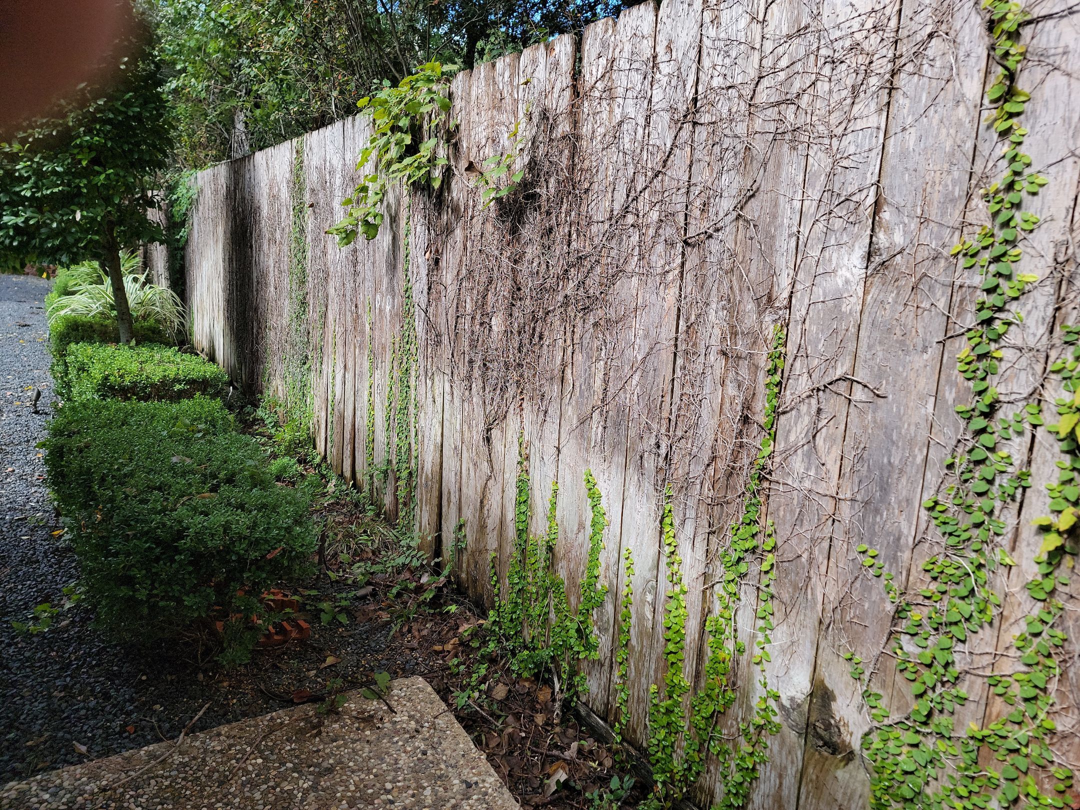 Fence Installation for Poolside Paradise by Tim's Fences