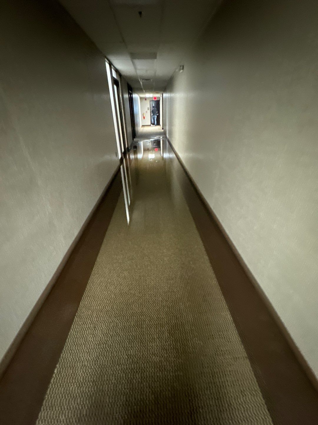 Project in Warren by EzDry Water Mitigation & Property Restoration