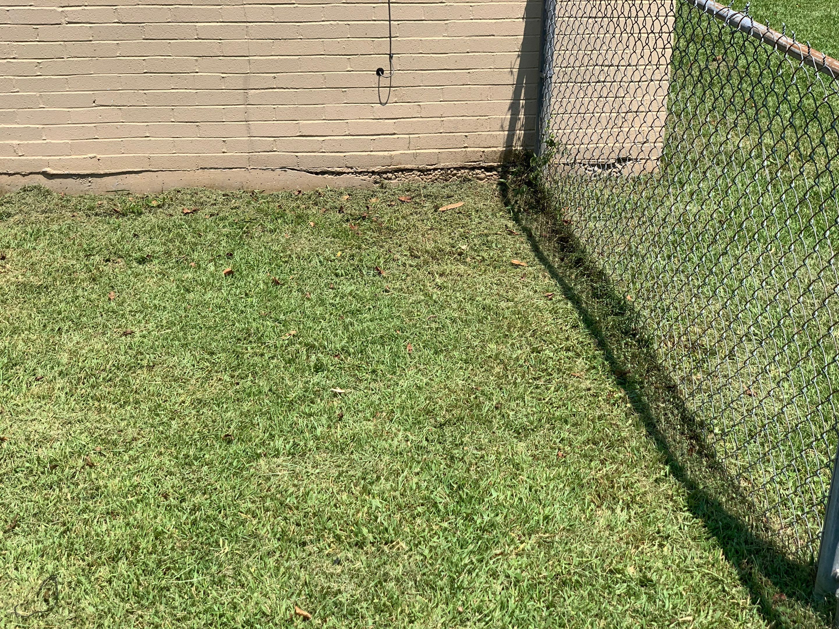 Yard Makeover by College Bros Outdoor services
