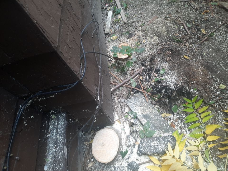 Tree Removal using Tree Removal by Mike Jones & Sons Tree Service LLC 