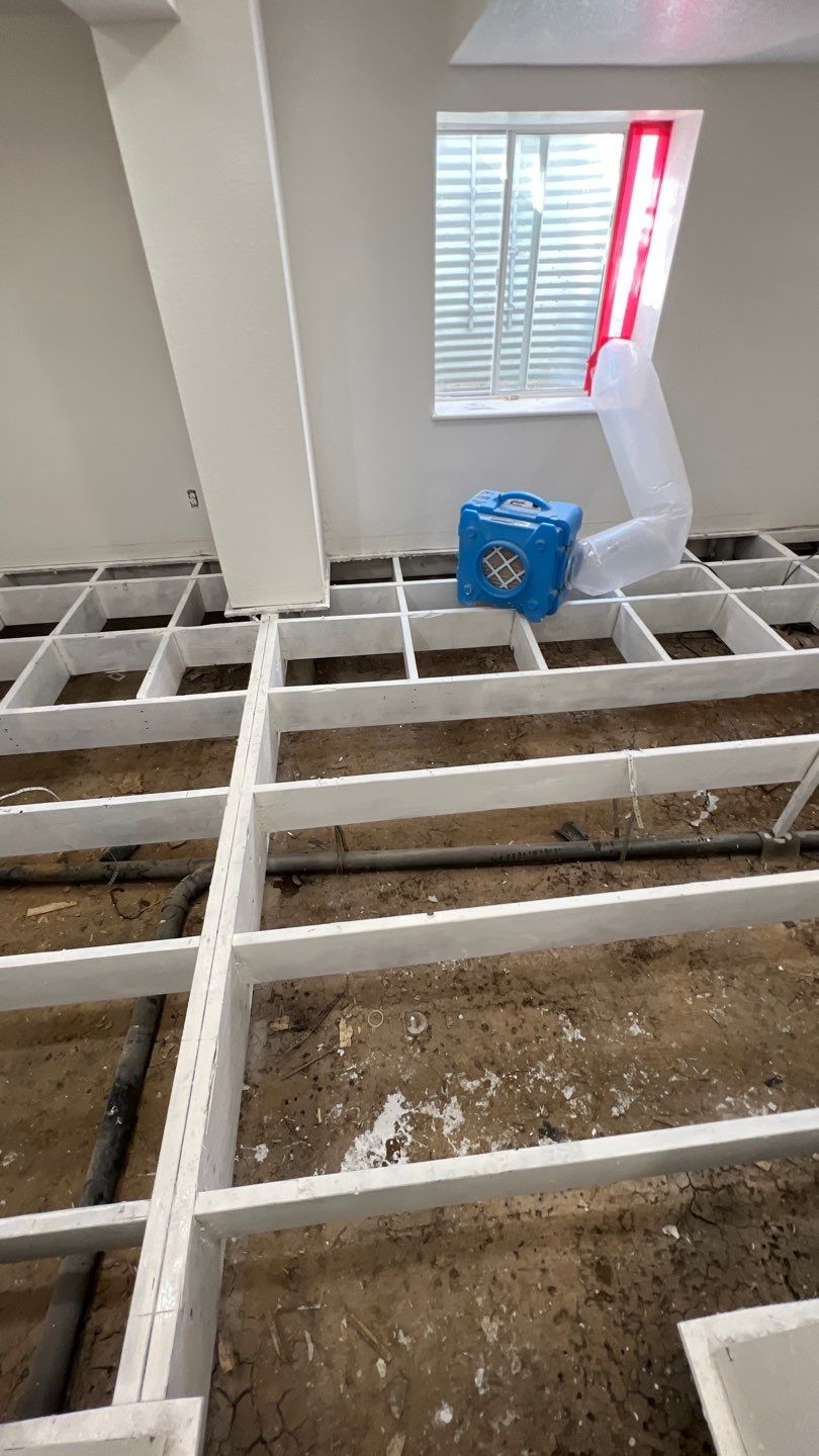 Mold Remediation by Accountable Home Services