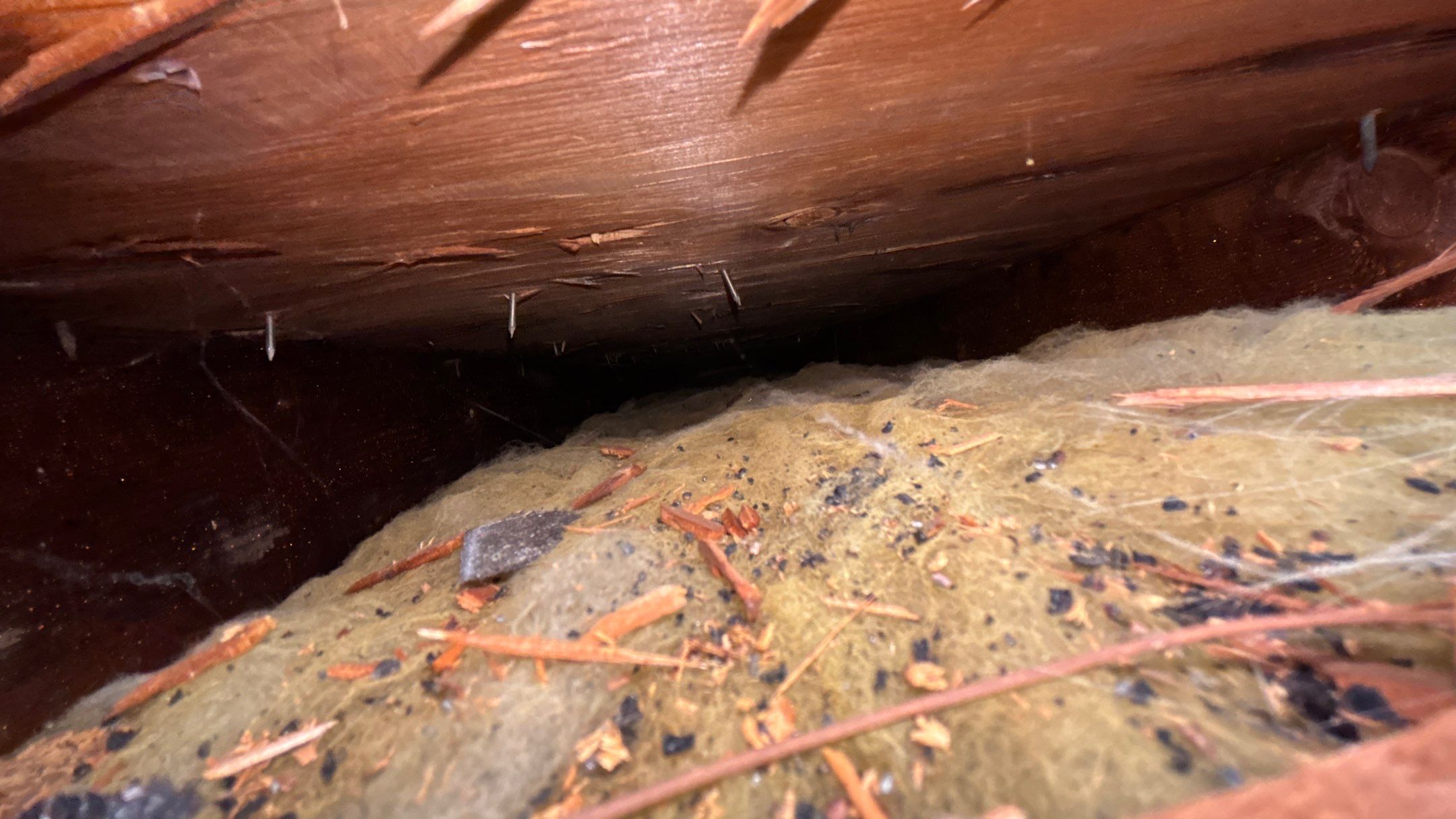 Roof Replacement using Owens Corning Driftwood by 180 Contractors