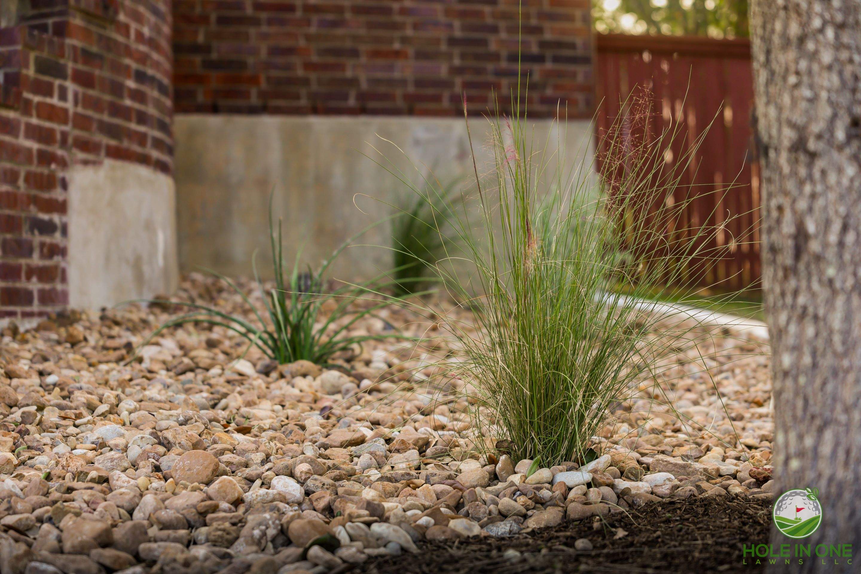 Low-Maintenance Front Yard Xeriscape with Chopstone Border, North San Antonio TX by Hole In One Lawns, LLC