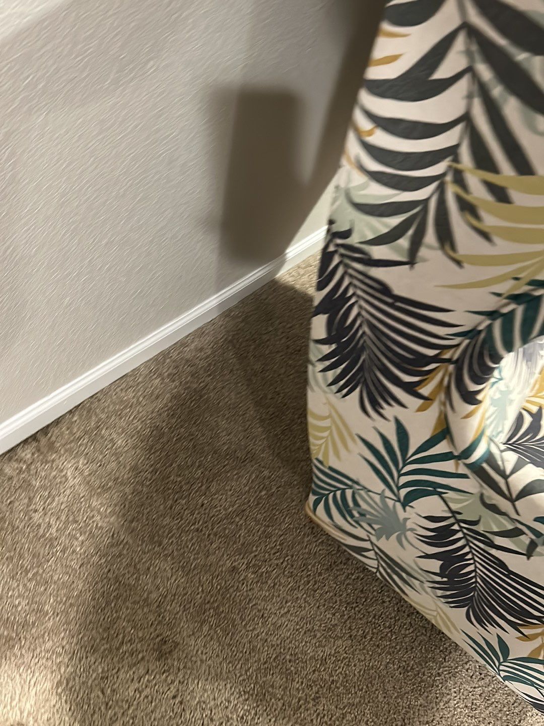 Water Damage by Accountable Home Services