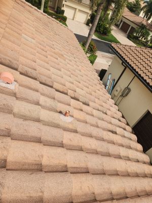 Expert Tile Roof Repair in Palm Beach Gardens – Durable & Weatherproof Solution