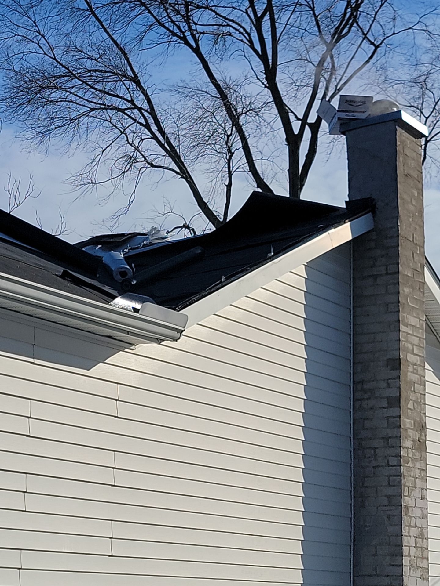 Sharkey Roof by Erie Home