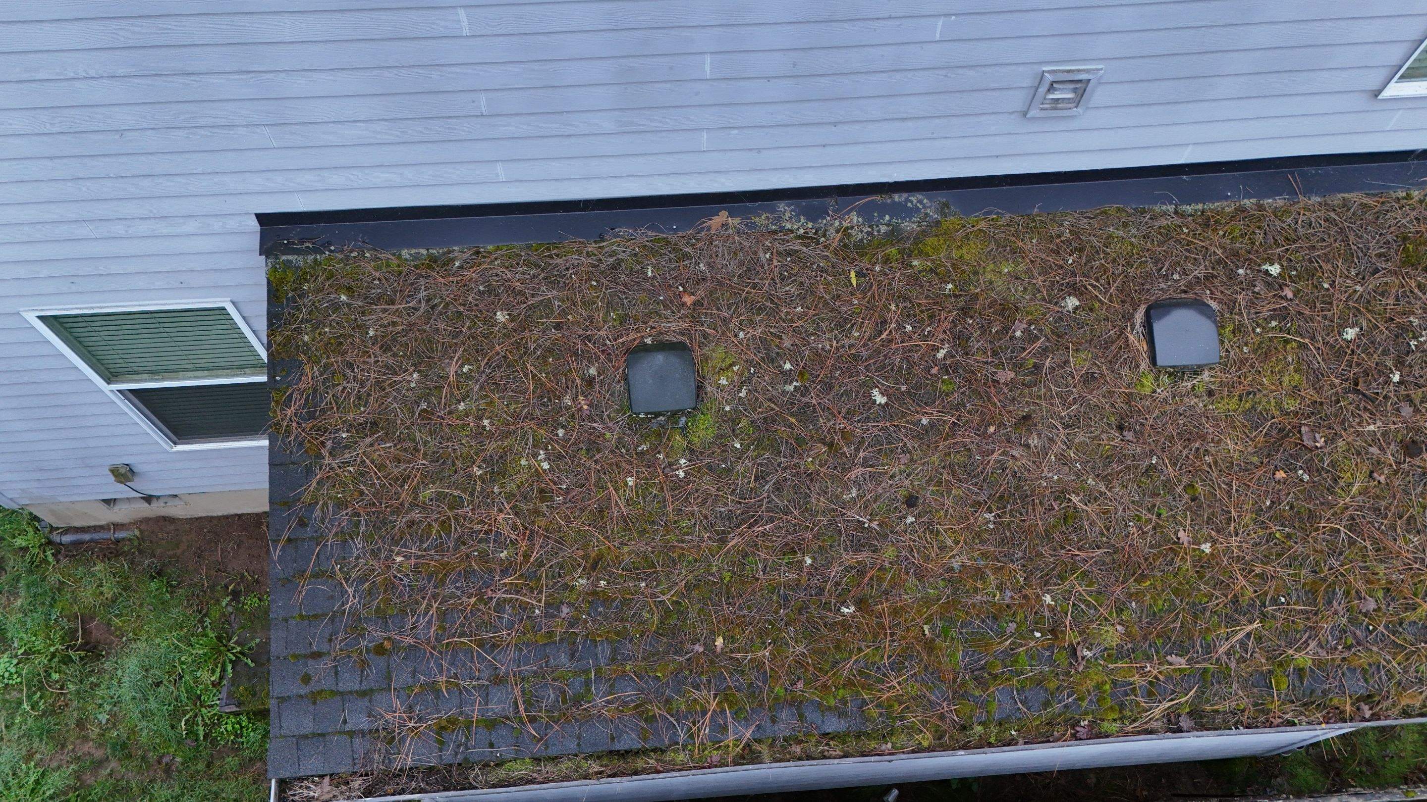 Severe Roof Maintenance in Beaverton by Prodigy Roof Solutions
