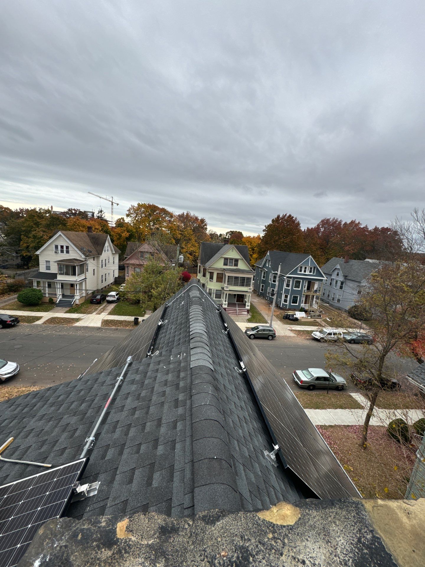 Silver Birch Shingles by Reimagine Roofing