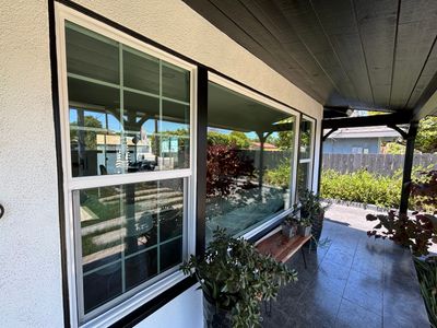 Window Cleaning