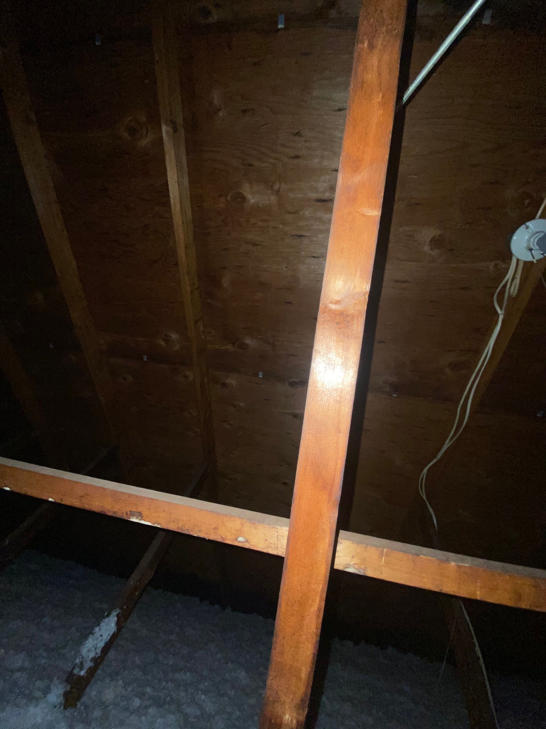 Springfield: Residential Roof Replacement with CertainTeed Landmark Pro in Max Def Burnt Sienna by RM Banning, Inc.