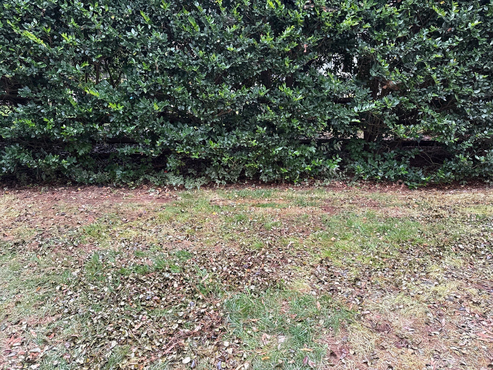 Project in Charlotte by Badger Hauling