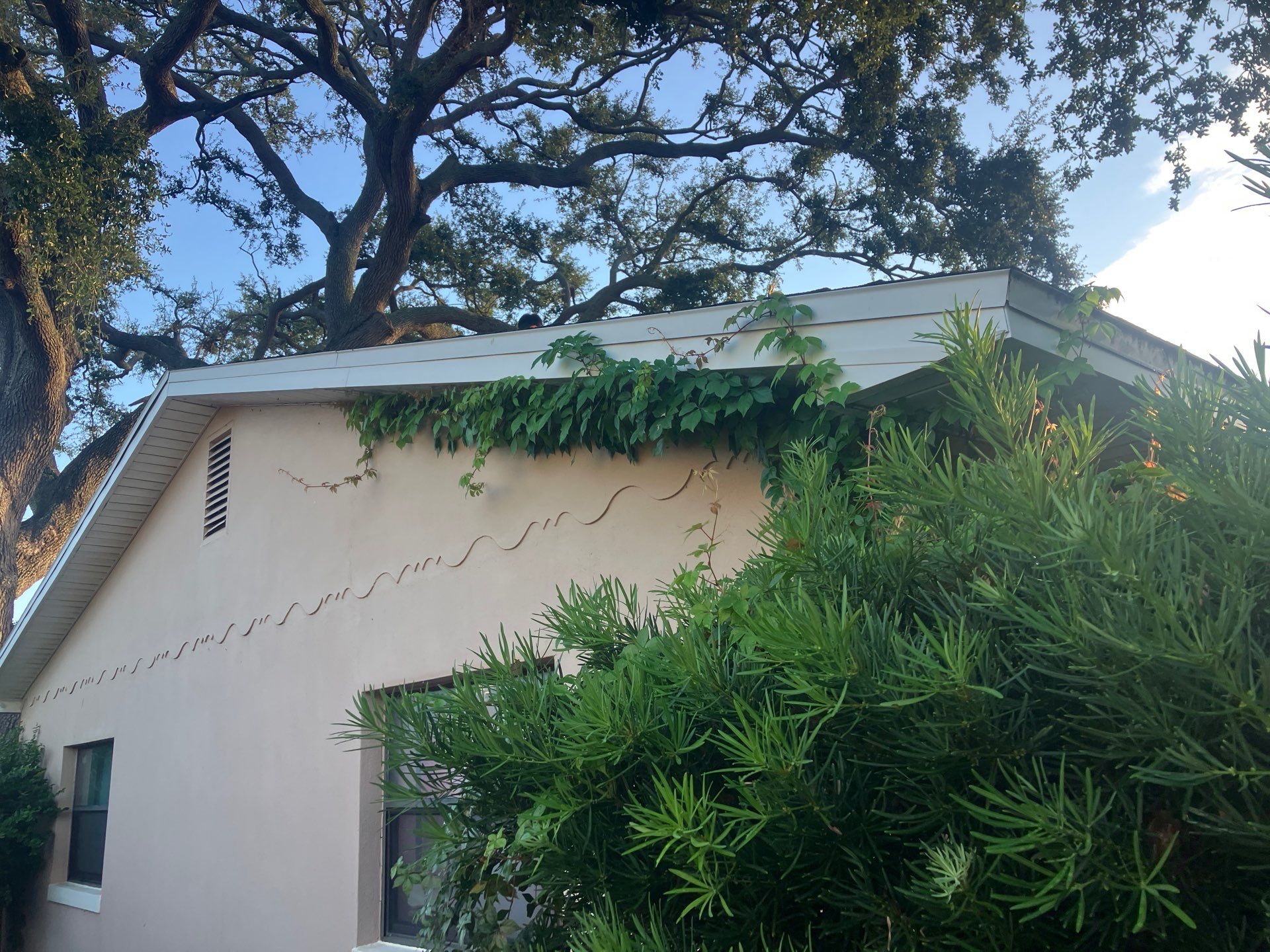 Project in St. Petersburg 33710 by Mitchell Roofing Company LLC