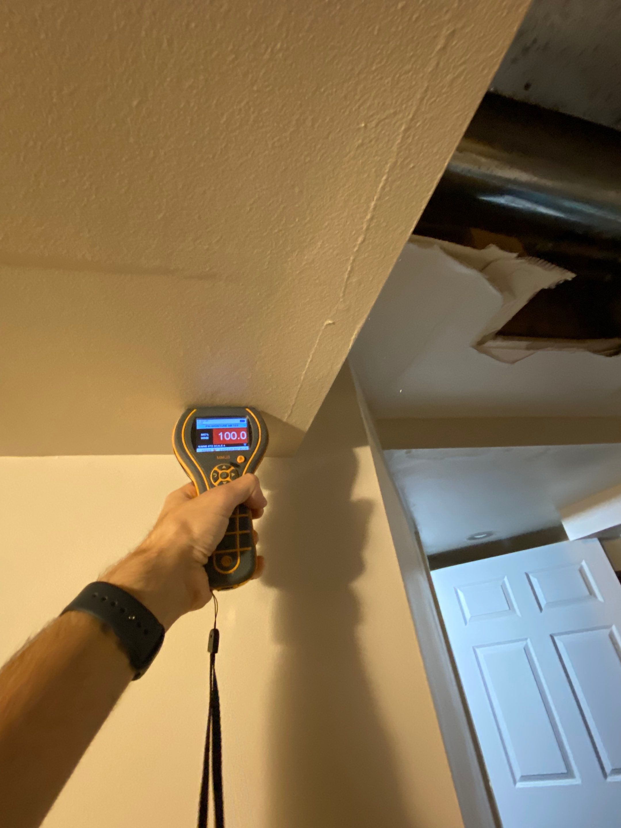 Project in Novi by EzDry Water Mitigation & Property Restoration