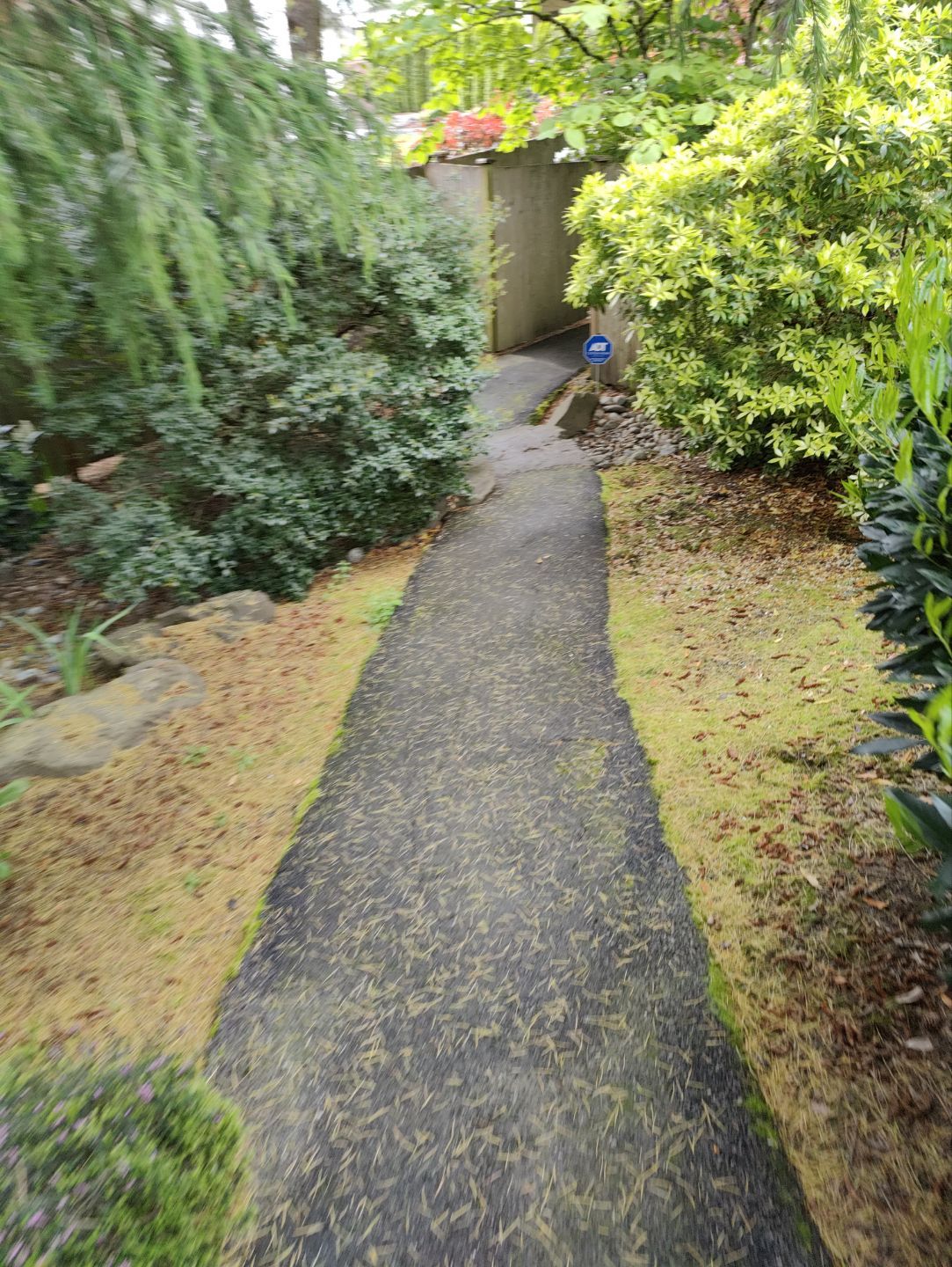 Premium Pressure Washing in Bellevue by WindowWorks