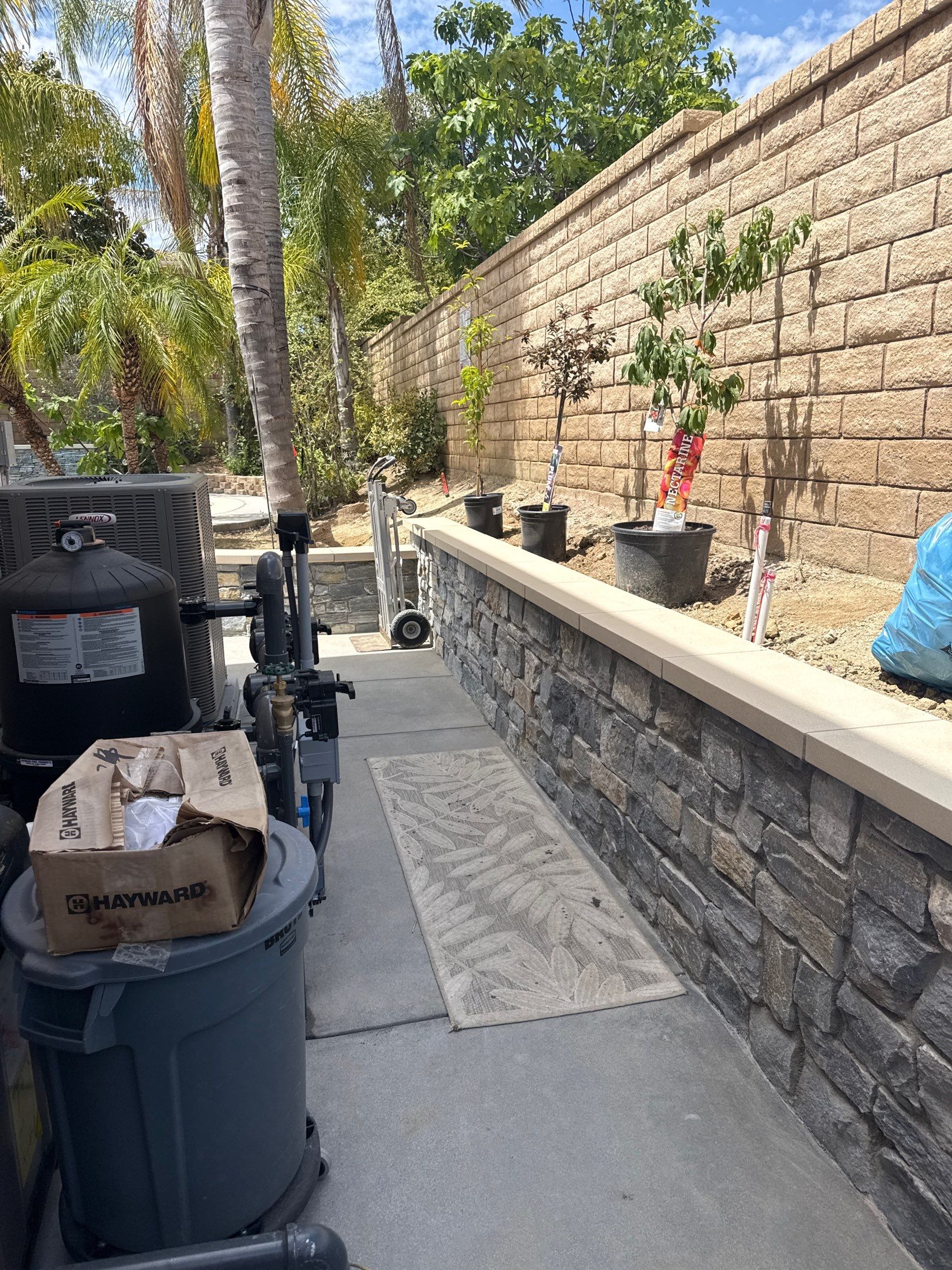 Project in Castaic by Thomas Pools