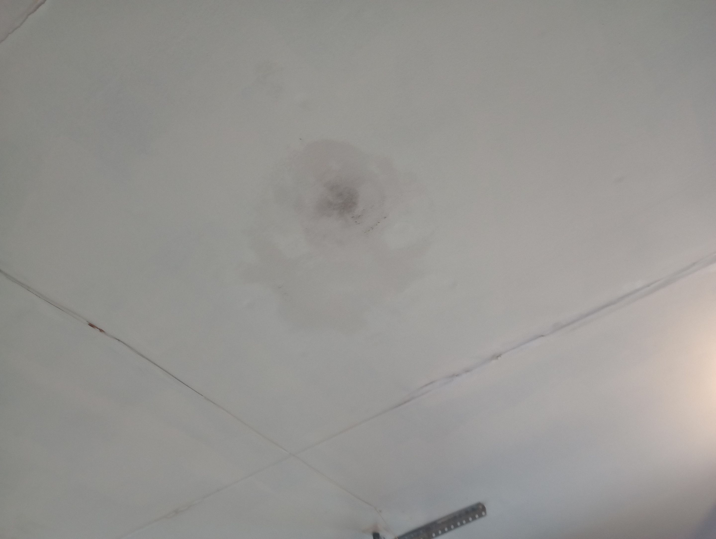 Crawlspace/Interior Mold Remediation in Prospect, KY by ANR Restoration