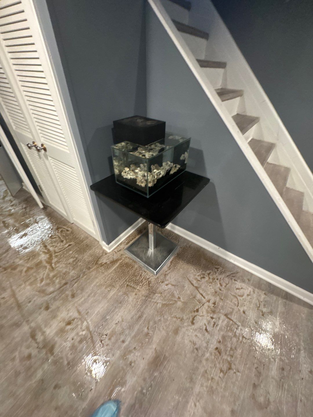 Project in Beverly Hills by EzDry Water Mitigation & Property Restoration