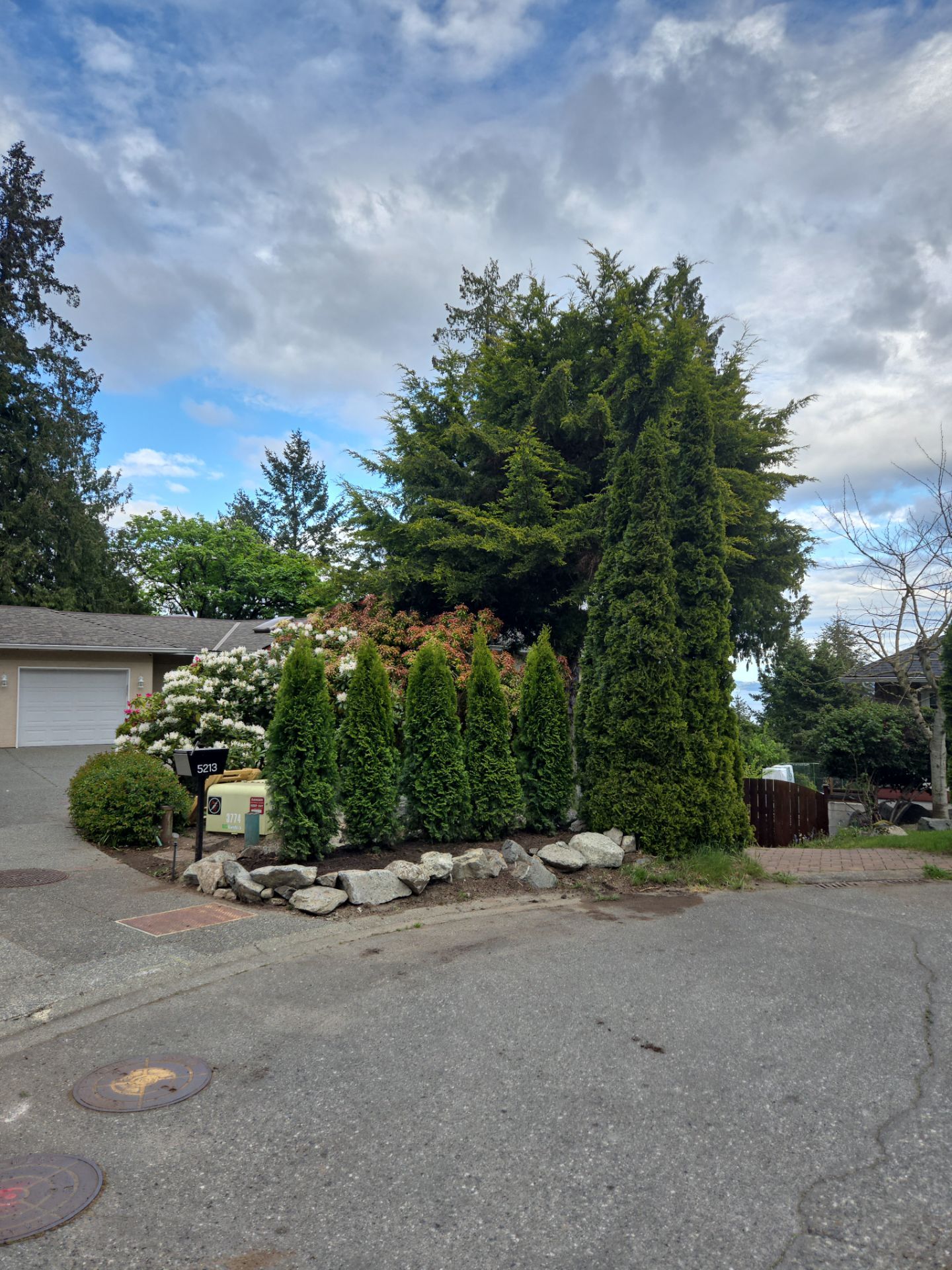 Hedge Installation – Privacy Enhancement and Visual Framing by Habanero Garden and Exterior Care
