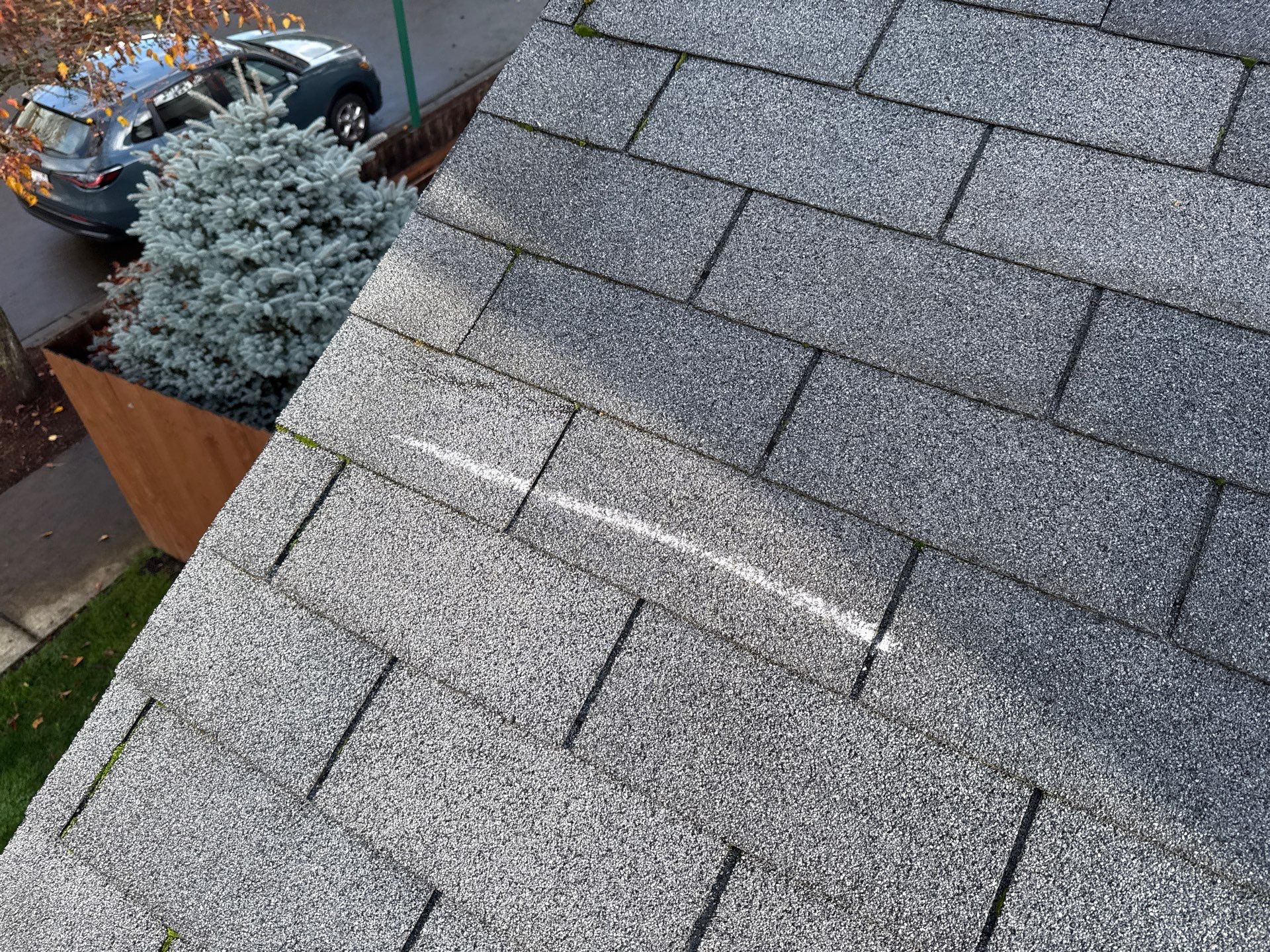 GAF Timberline NS, Charcoal  by Proline Roofing & Restoration LLC