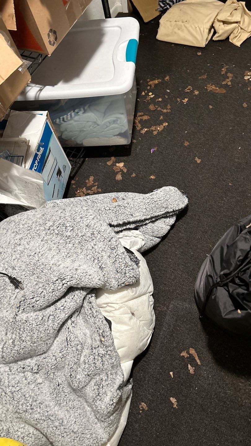 Water Damage by Accountable Home Services