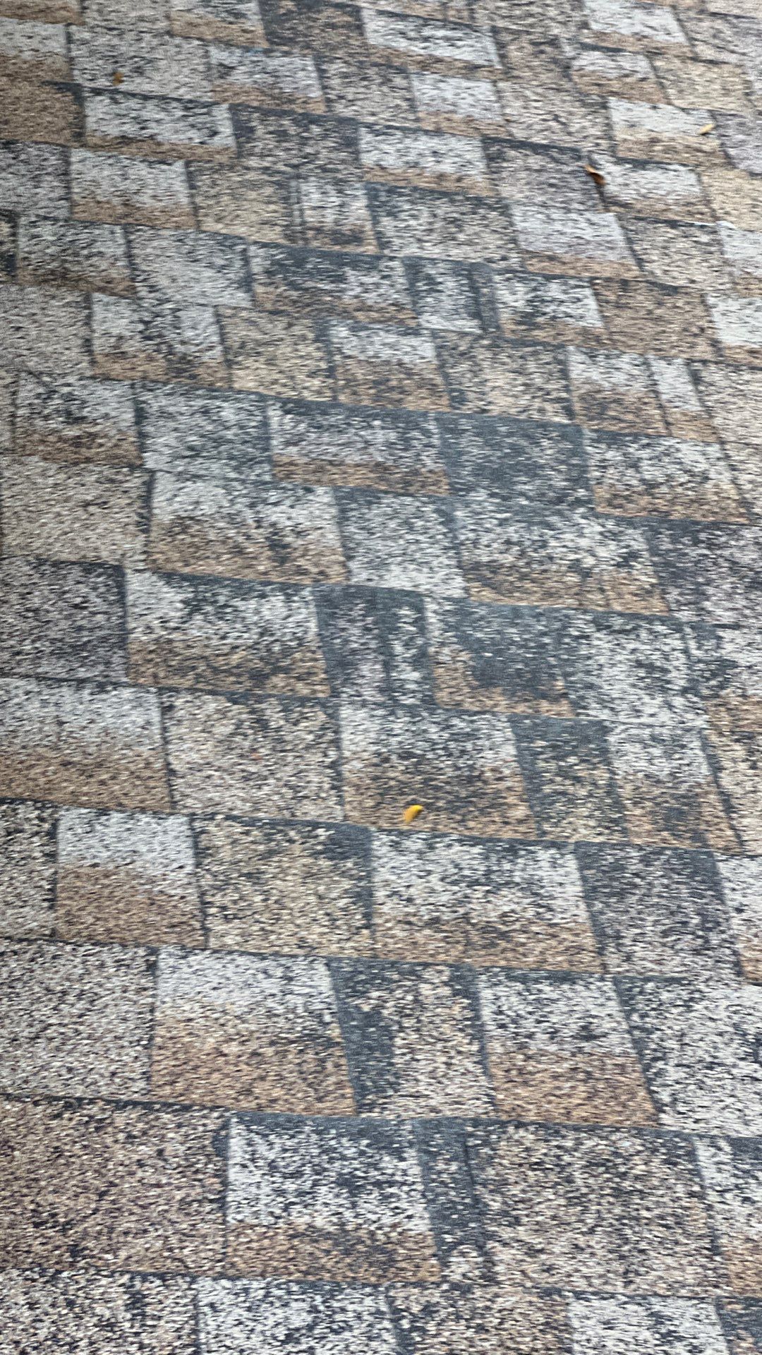 Project in Richmond by Roof Maxx of Midlothian