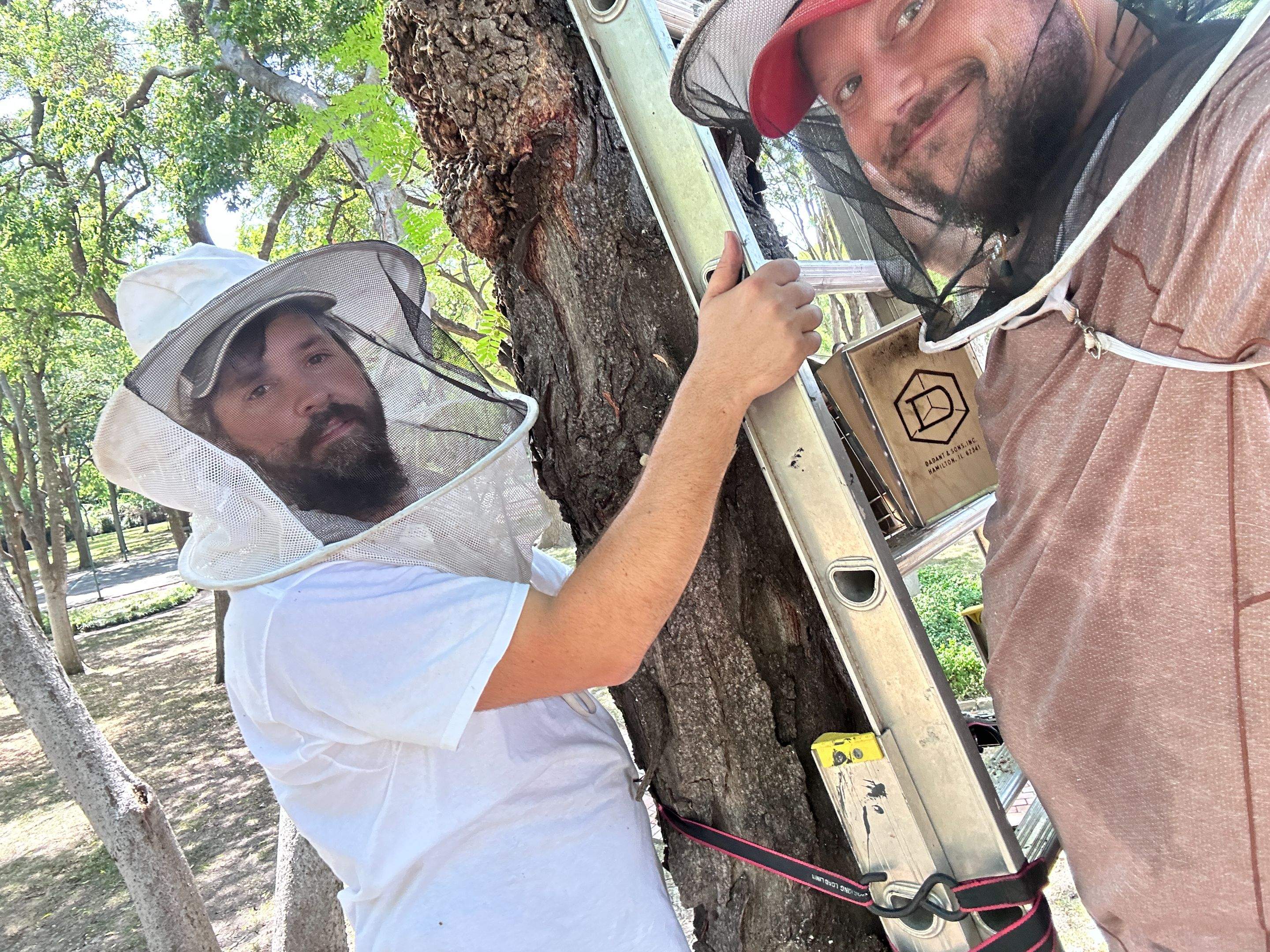 Two More Trees, One More Yard by Rockwall Honey Bee Company