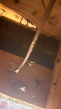 Garage by Rockwall Honey Bee Company