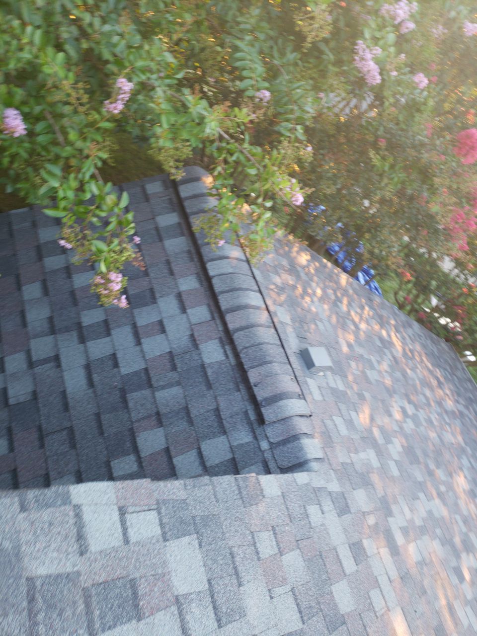 Alexandria: CertainTeed Landmark Pro Designer Shingles in Max Def Colonial Slate by RM Banning, Inc.