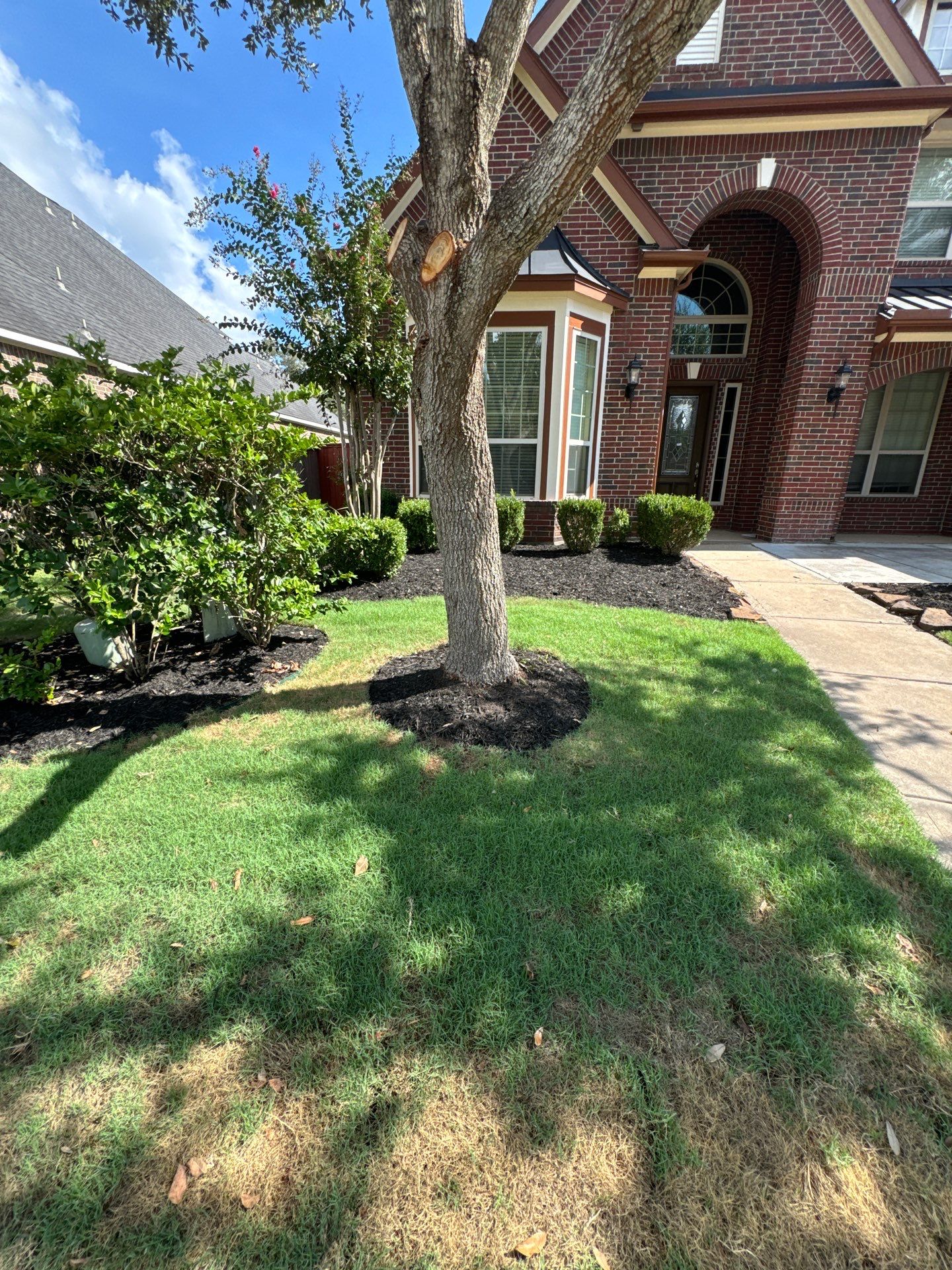 🌿🏡 Project Spotlight: Front Yard Curb Appeal Rescue for Mr. B. Khara by Texas Urban Elements