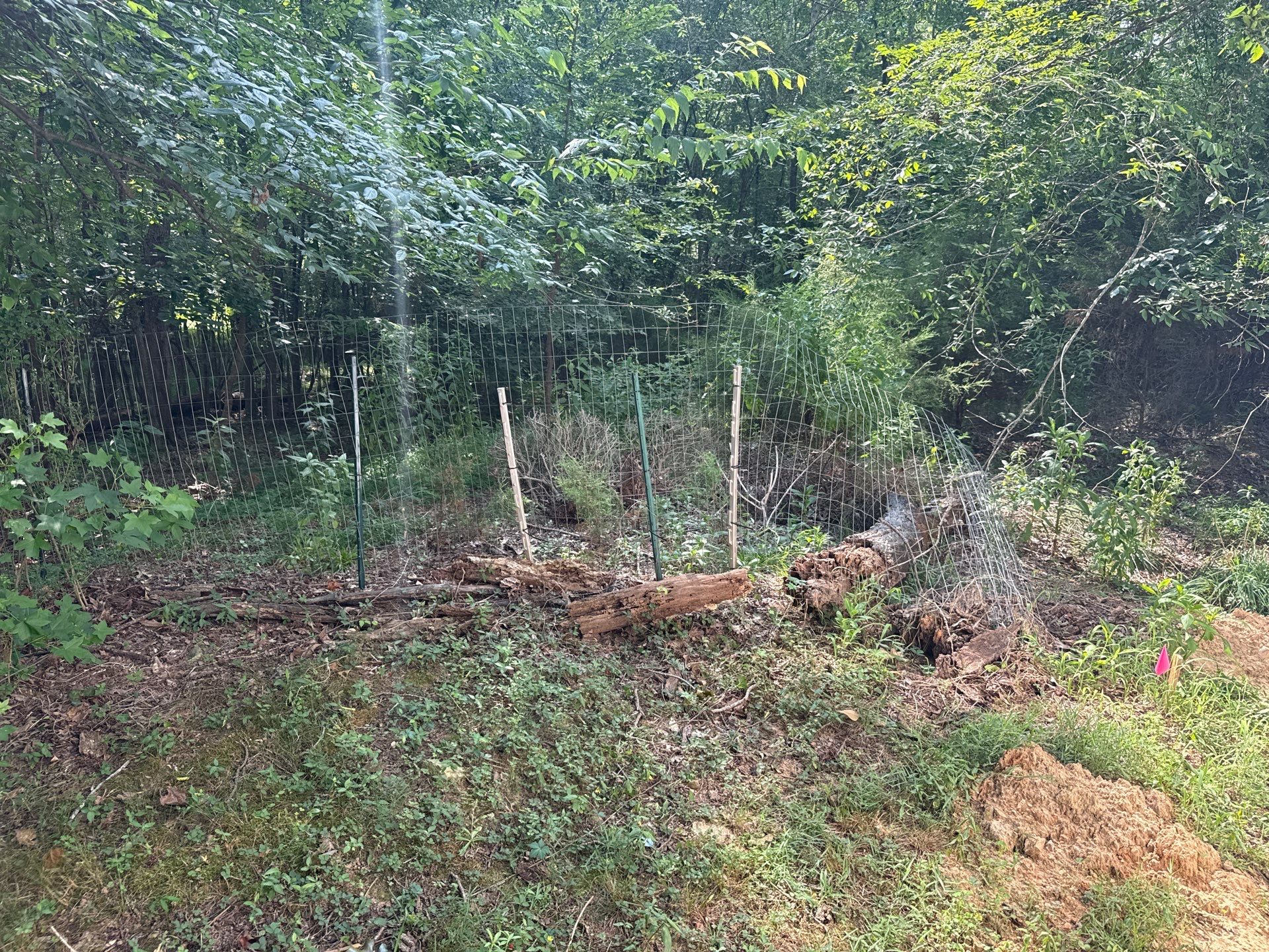 Project in Mint Hill by Badger Hauling