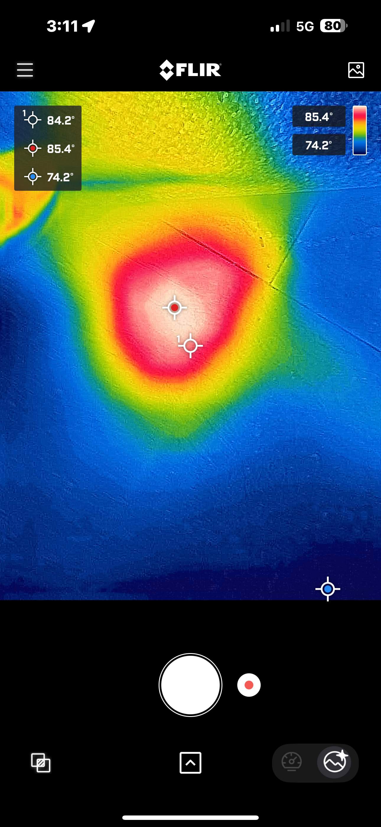 Bees Underfoot by Rockwall Honey Bee Company