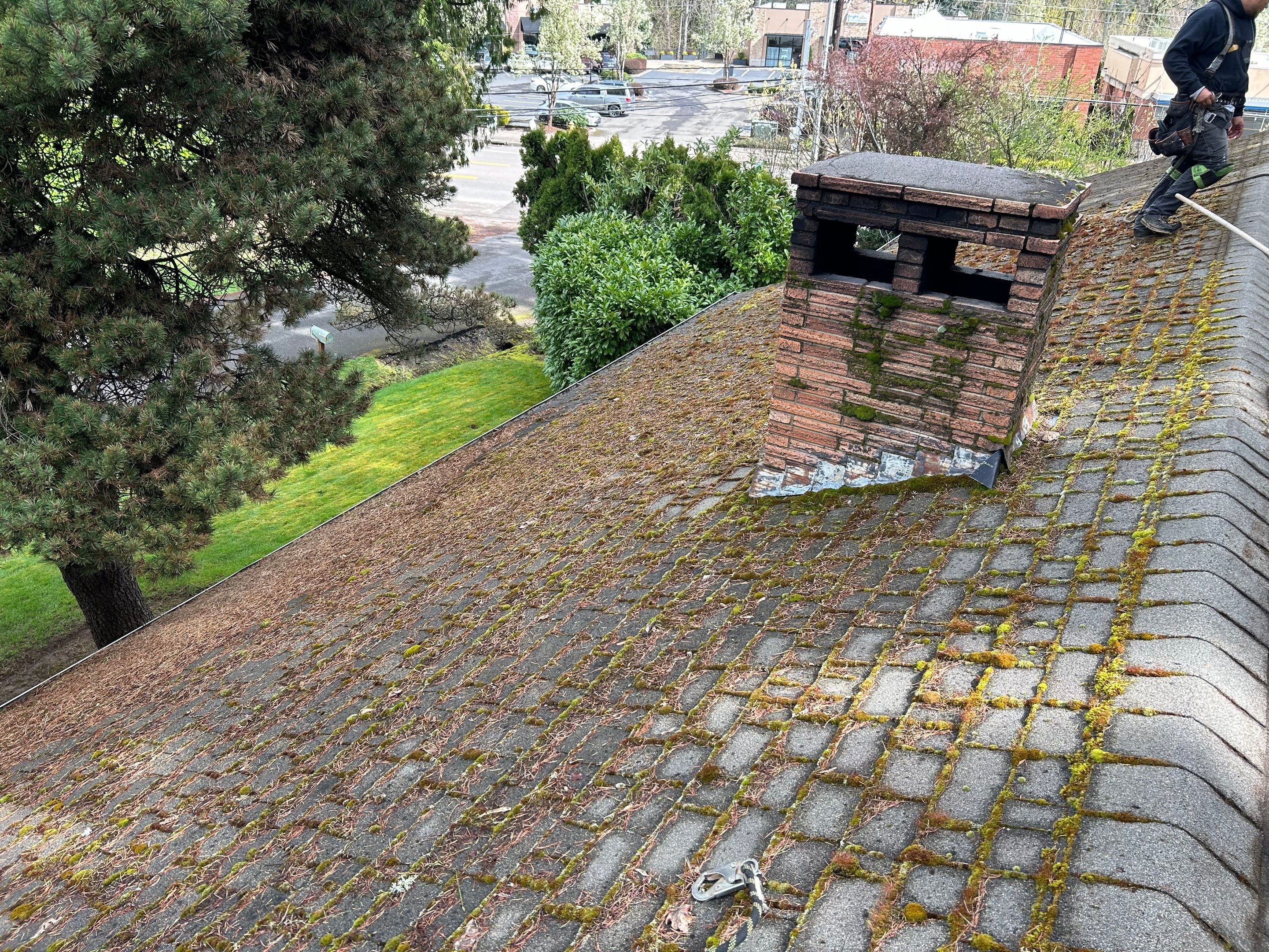 Roof Maintenance in West Linn by Prodigy Roof Solutions