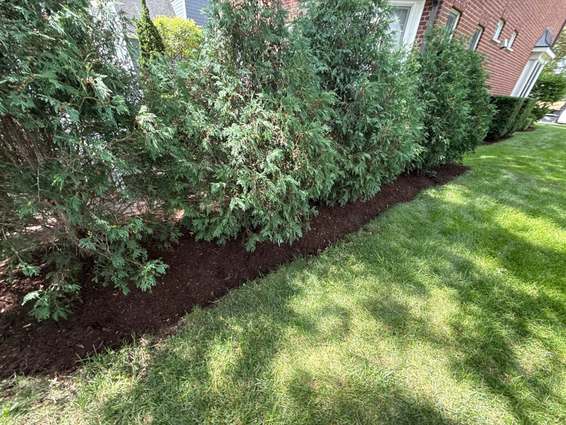 Jason G. - Arlington Heights, IL by A&N