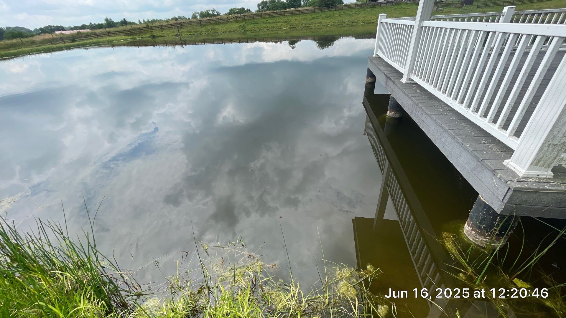 Maas Project by  Bellus Aquatic Solutions
